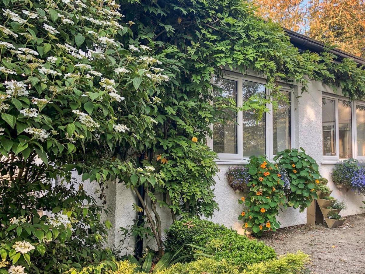 Villa Primrose End Bude Exterior foto